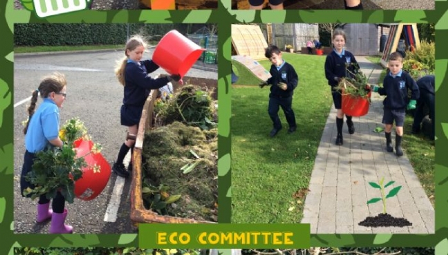 Eco Committee hard at Work